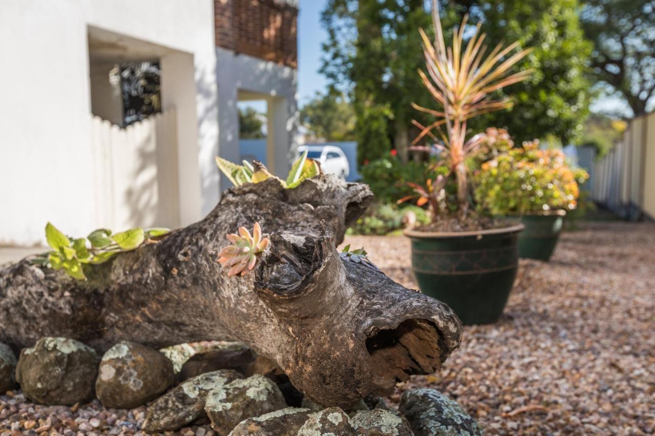 Cumquat House Bed and Breakfast Ipswich Buitenkant foto